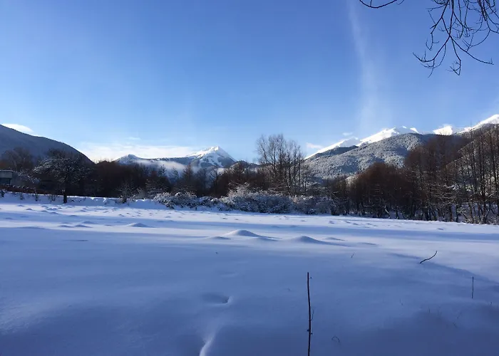 Hotel de apartamente Four Leaf Clover To Rent