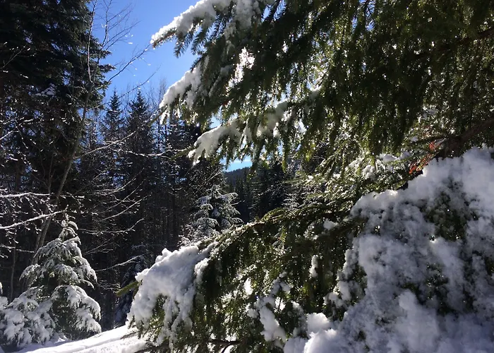 Four Leaf Clover To Rent 公寓式酒店