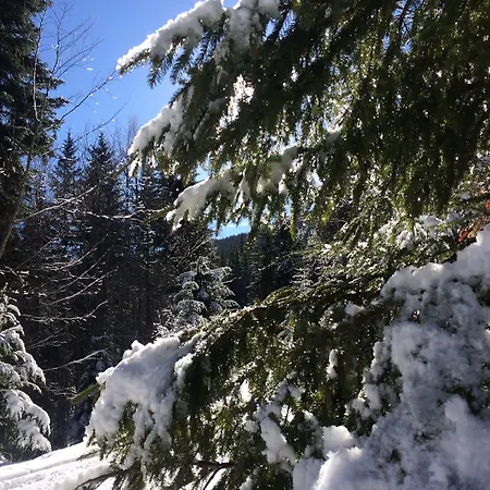 Four Leaf Clover To Rent アパートホテル