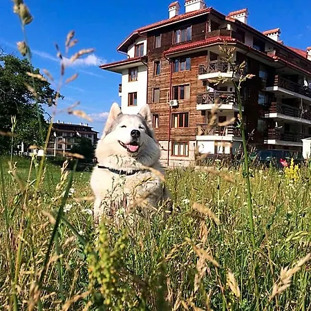 Four Leaf Clover To Rent 3* Bansko